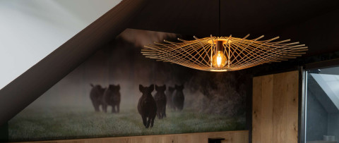 &nbsp;Lighting and home accessories